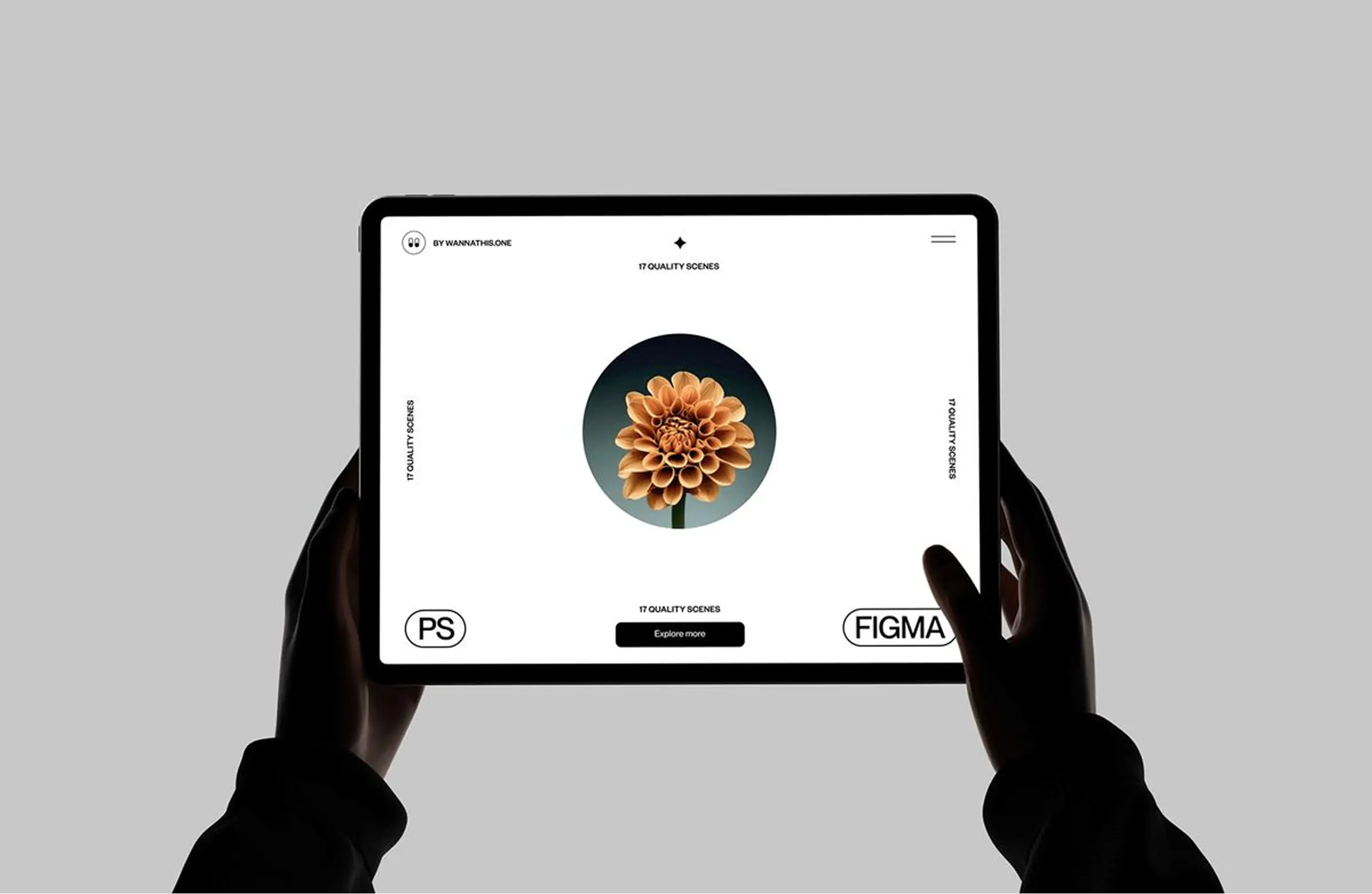NGO platform built with Next.js and Directus